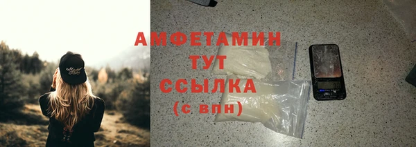 молекула духа Бородино