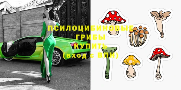хмурый Волоколамск
